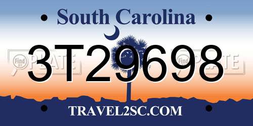 3T29698 South Carolina License Plate
