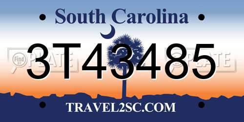 3T43485 South Carolina License Plate