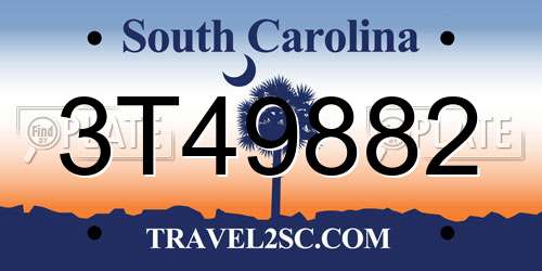 3T49882 South Carolina License Plate