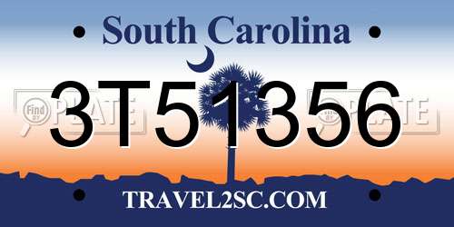 3T51356 South Carolina License Plate