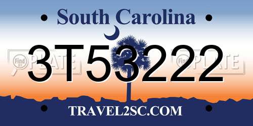 3T53222 South Carolina License Plate