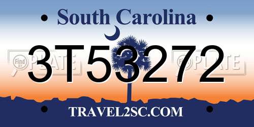 3T53272 South Carolina License Plate