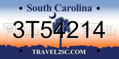 3T54214 South Carolina License Plate