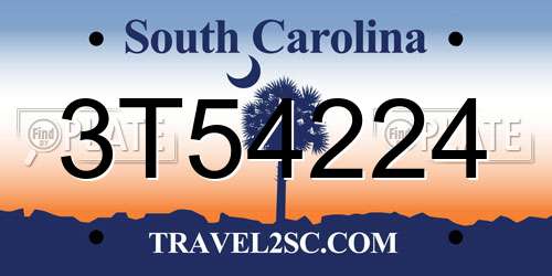 3T54224 South Carolina License Plate