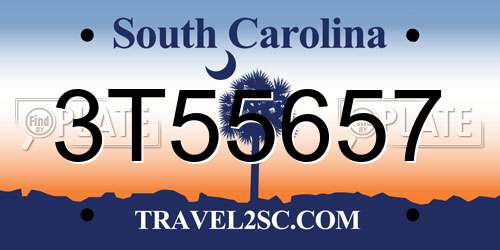 3T55657 South Carolina License Plate