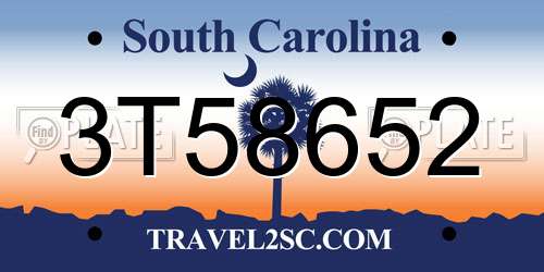 3T58652 South Carolina License Plate