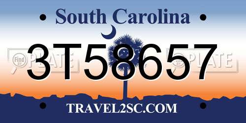 3T58657 South Carolina License Plate