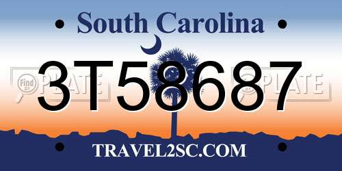 3T58687 South Carolina License Plate
