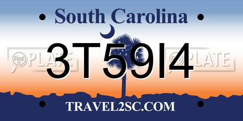 3T59I4 South Carolina License Plate