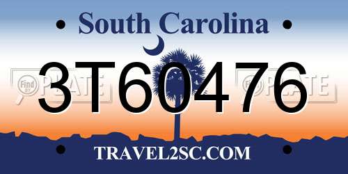 3T60476 South Carolina License Plate