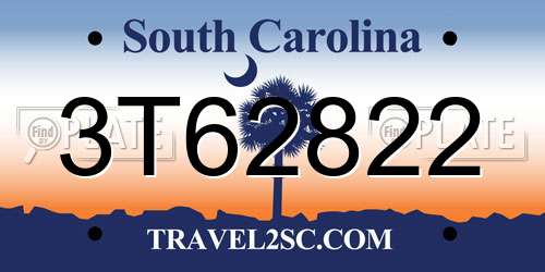 3T62822 South Carolina License Plate
