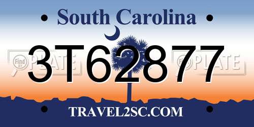 3T62877 South Carolina License Plate