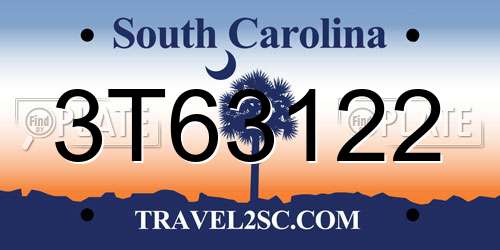 3T63122 South Carolina License Plate