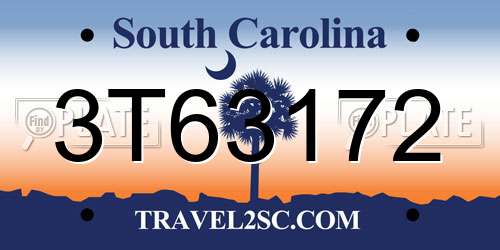 3T63172 South Carolina License Plate