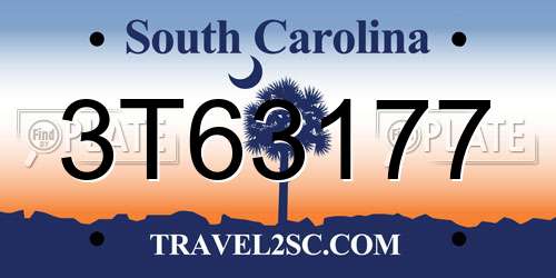 3T63177 South Carolina License Plate