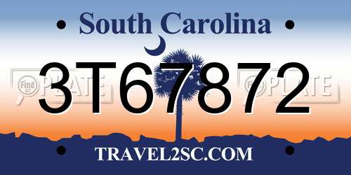 3T67872 South Carolina License Plate