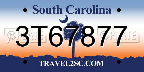 3T67877 South Carolina License Plate