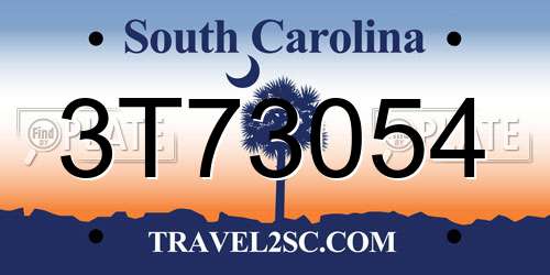 3T73054 South Carolina License Plate