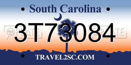 3T73084 South Carolina License Plate