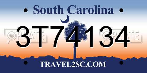 3T74134 South Carolina License Plate
