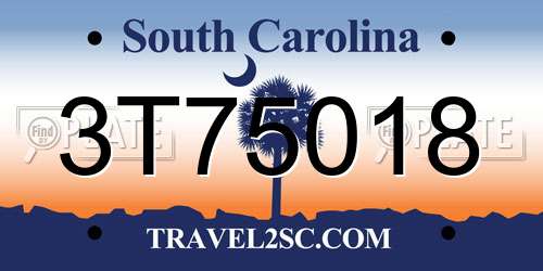 3T75018 South Carolina License Plate
