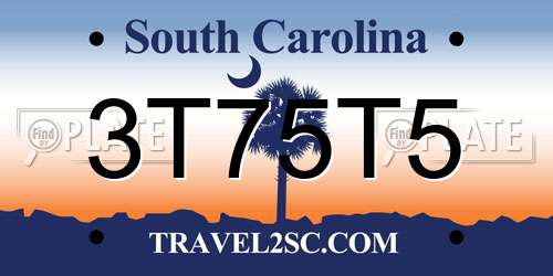 3T75T5 South Carolina License Plate