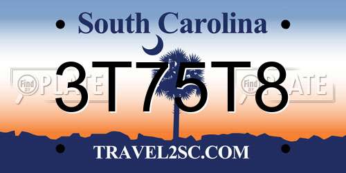 3T75T8 South Carolina License Plate