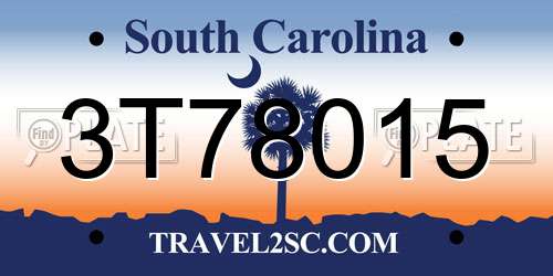 3T78015 South Carolina License Plate