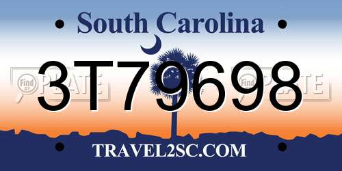 3T79698 South Carolina License Plate