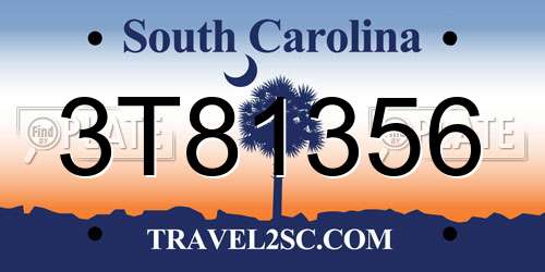 3T81356 South Carolina License Plate