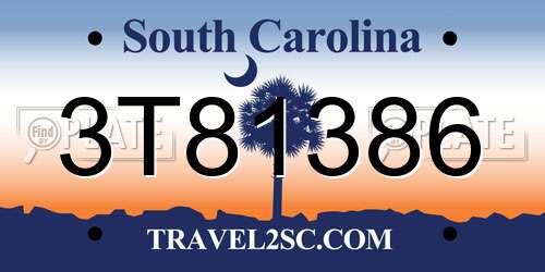 3T81386 South Carolina License Plate