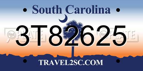 3T82625 South Carolina License Plate
