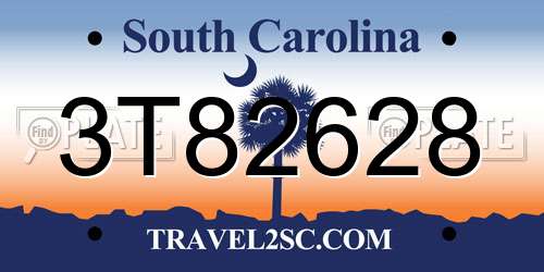 3T82628 South Carolina License Plate