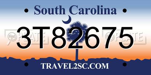 3T82675 South Carolina License Plate