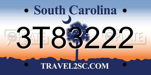 3T83222 South Carolina License Plate