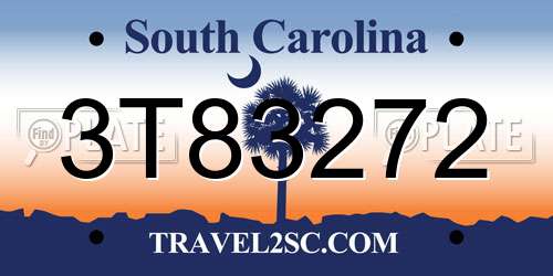 3T83272 South Carolina License Plate
