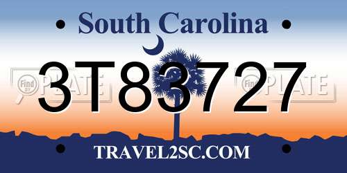 3T83727 South Carolina License Plate