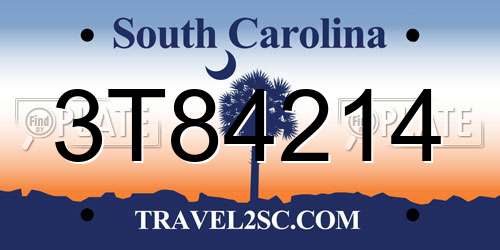 3T84214 South Carolina License Plate