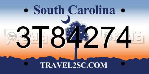 3T84274 South Carolina License Plate