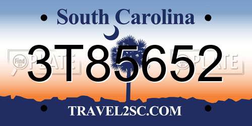 3T85652 South Carolina License Plate