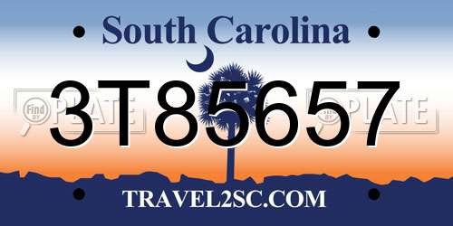 3T85657 South Carolina License Plate