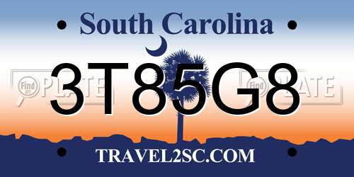 3T85G8 South Carolina License Plate