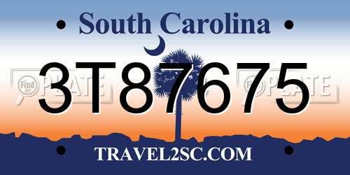 3T87675 South Carolina License Plate
