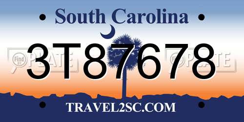 3T87678 South Carolina License Plate