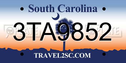 3TA9852 South Carolina License Plate