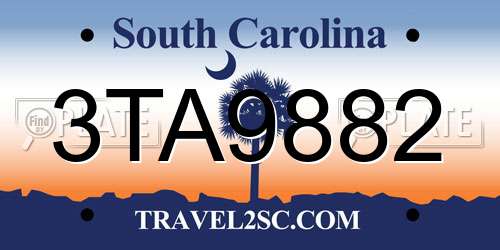 3TA9882 South Carolina License Plate