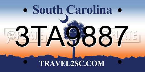 3TA9887 South Carolina License Plate