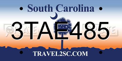 3TAE485 South Carolina License Plate
