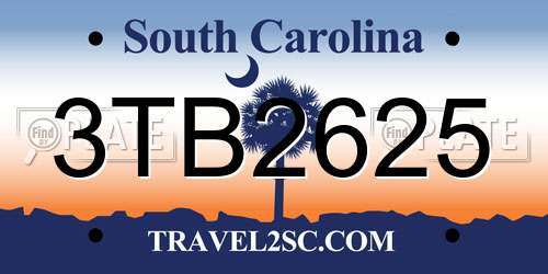3TB2625 South Carolina License Plate