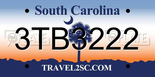 3TB3222 South Carolina License Plate